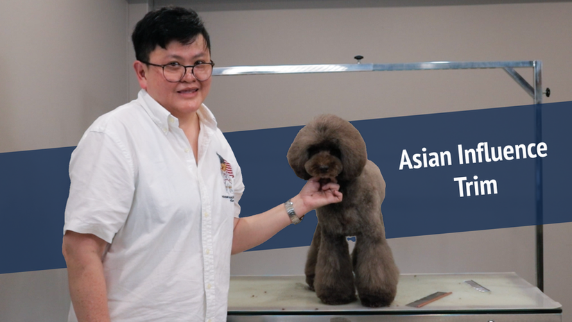 Asian Influence Trim Tutorial with Jovy Lee